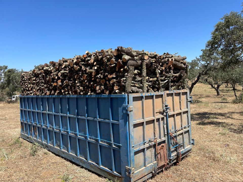 Deforestation-free encina wood from the dehesa, loaded in a container