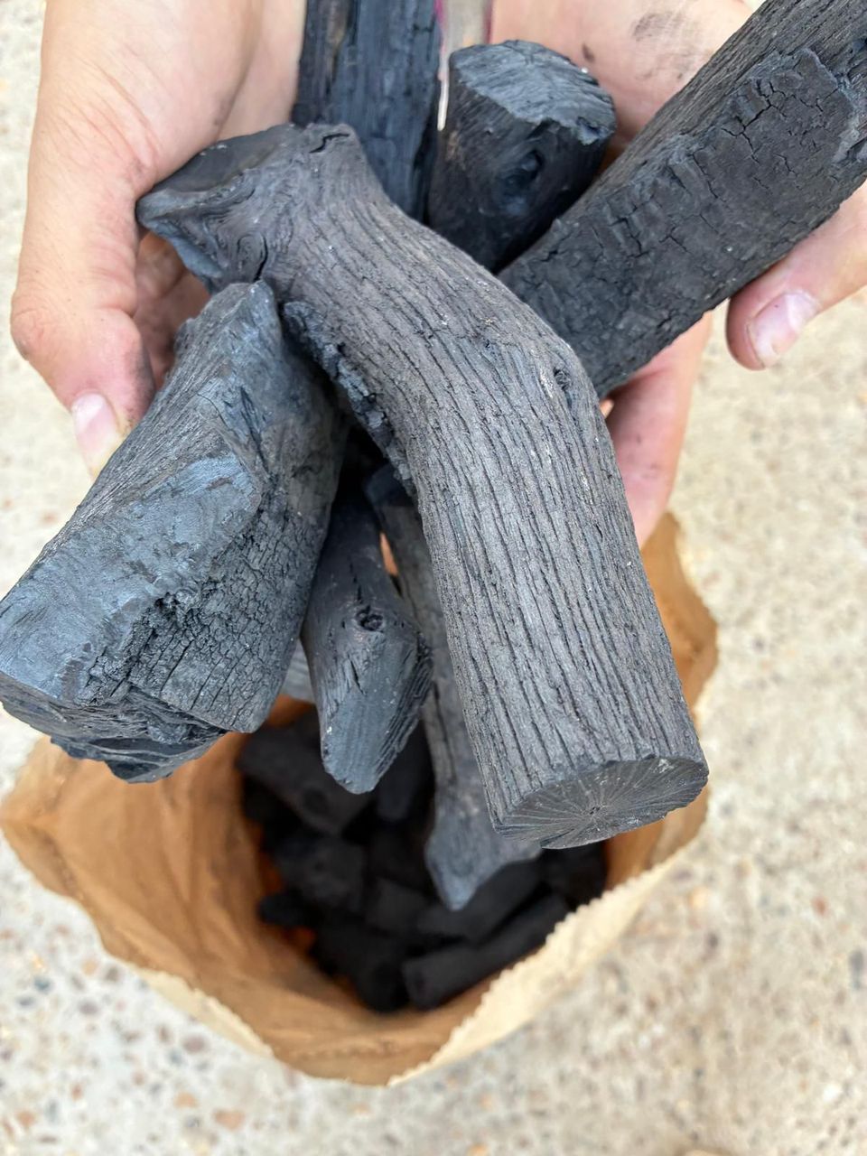 Encina restaurant charcoal: large lumps held in a hand