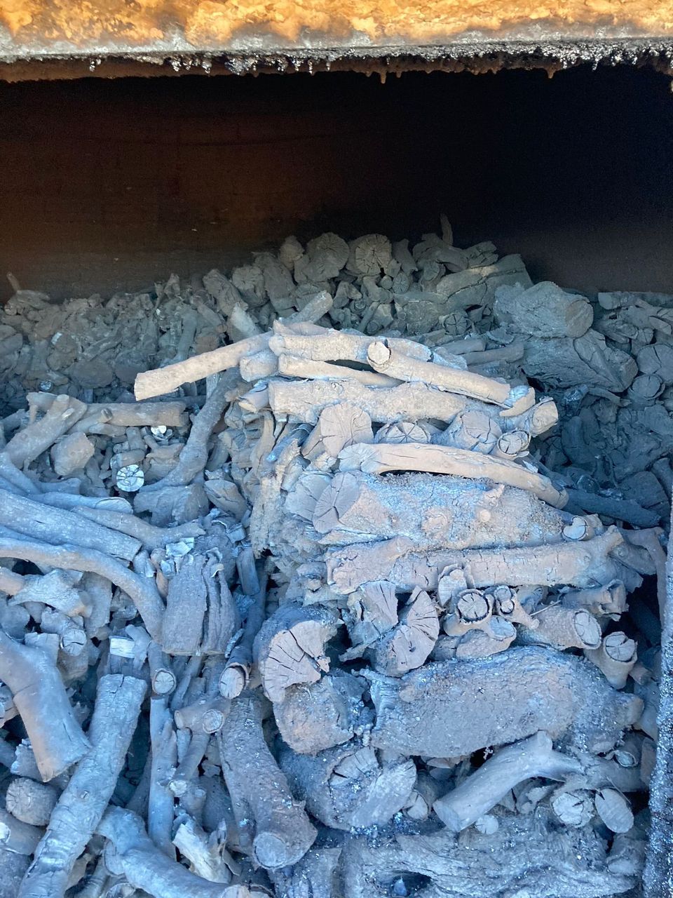 Freshly carbonised holm oak charcoal in the kiln