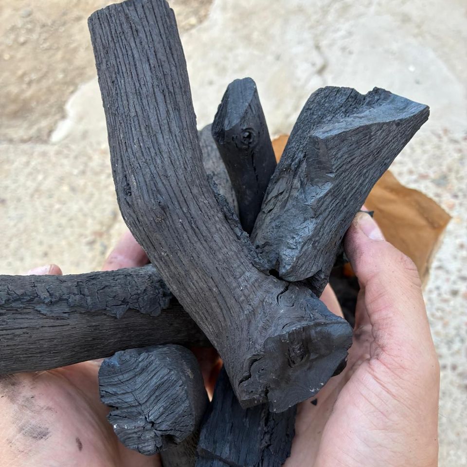 Encina holm oak charcoal: XL lumps from 35 mm in two hands